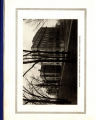 1914 Yearbook