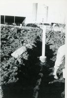 TOT Below Feedlot