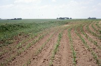 State Conservation Award given to Larry Knaack's farm property.  