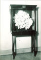 Coral in display case at Museum of Natural History, The University of Iowa, 1930s?