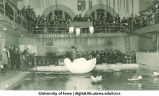 Performance by women swimmers at the Dolphin Show, the University of Iowa, 1920s