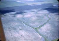 Contour field and waterway on John Matthew farm, 1946