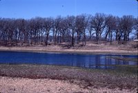 Pearson Lakes Art Center Site Location.