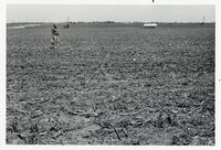 Man in field with bag
