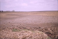 Soil erosion on the farm 