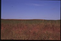 WQCP (Water Quality Control Plan) on Gary Johnson's Farm.