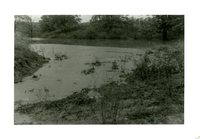 Clift Bennett Farm Pond, 1959