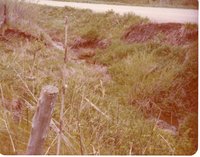 Lake Wapello RCD Project