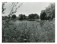 Wilson Lake, Lee County