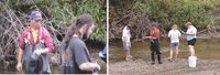 River study
