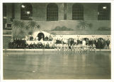 Dolphin Follies at Field House, The University of Iowa, October 1939