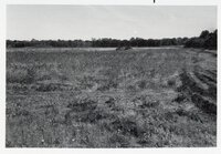 1970s Earthmoving machinery in field