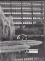 1975 Yearbook
