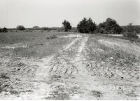 1995 Terraces on Dale Edmonds' Farm