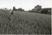 Man with hat, sunglasses, and beard in grassy field