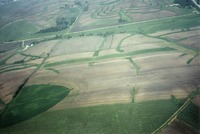 Kent Marshall farmland