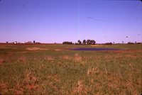 Restoration Project on Smokey Stover's Farm.