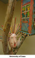 Detail: Iowa State University Day Care Center Installation