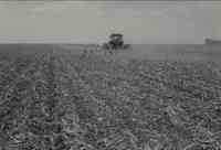 Tractor pulling disk in cornfield<br /><br />
