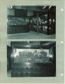 Animal skeleton exhibits at the Museum of Natural History, the University of Iowa, 1920s