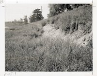1970s? Unidentified erosion photos