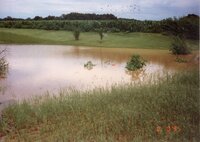 1995  Terraces on Bill Tucker's Farm