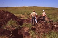Restoration Project on Smokey Stover's Farm.