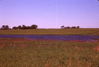 Restoration Project on Smokey Stover's Farm.