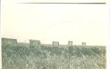 Men harvesting corn with horse drawn wagons, Iowa, 1900s