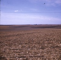 Good residue cover for winter.