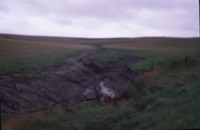 Soil Erosion, 1986