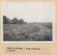 Tree Plantings on Martin Hoffman's Farm.