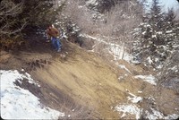 Winter gully.
