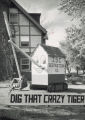 Kappa Delta Homecoming lawn display, ""Dig that Crazy Tiger,"" 1953