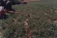 Three photos of a tiller in Plymouth County Iowa