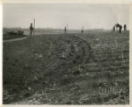 Students building terraces, 1949