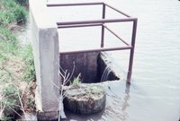 East Park Lake outlet/ inlet, 1983