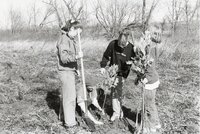 1999  Burlington High School Students plant trees