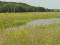 2007 Jack Strawhacker photos of pastures and ponds