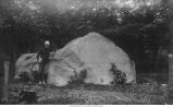 Man next to large Wisconsin boulder near the mouth of Prairie Creek, Iowa, late 1890s or early 1900s