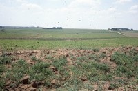 State Conservation Award given to Larry Knaack's farm property.  