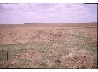 Eroded brown farmland