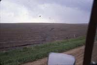 Erosion in a farm field.