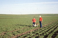 Quad State Award winners Frank and Marcia Escue farm.