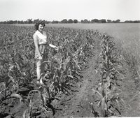 Woman in Striped Shorts