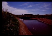Pachmayr Marsh - Dickinson County, Iowa.