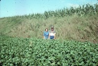 Donna and Larry Trapp farmstead.