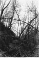 Falling blocks in Spring Hollow in the Palisades, Mount Vernon, Iowa, late 1890s or early 1900s