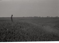 Farmer Stands in a Pasture Close to Corn Ffield