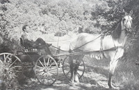Chapman 